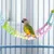 ZenPets Pont échelle pour oiseaux