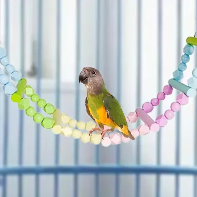 ZenPets Pont échelle pour oiseaux