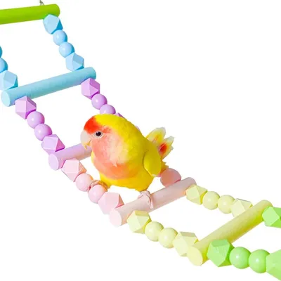 ZenPets Pont échelle pour oiseaux