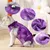 ZenPets Combinaison postopératoire pour chat ZenPets Combinaison postopératoire pour chat