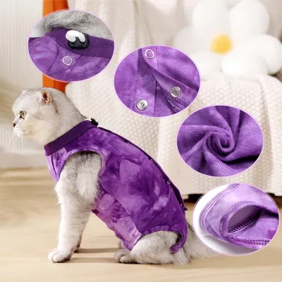 ZenPets Combinaison postopératoire pour chat ZenPets Combinaison postopératoire pour chat
