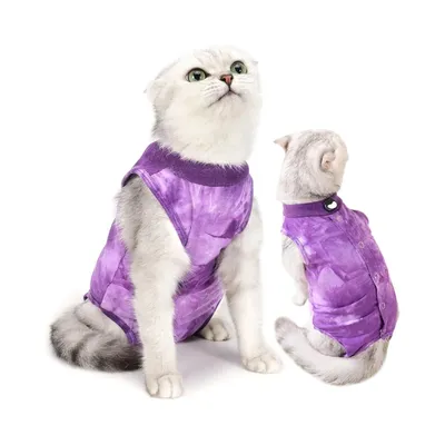 ZenPets Combinaison postopératoire pour chat ZenPets Combinaison postopératoire pour chat
