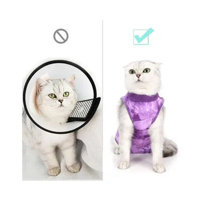 ZenPets Combinaison postopératoire pour chat ZenPets Combinaison postopératoire pour chat