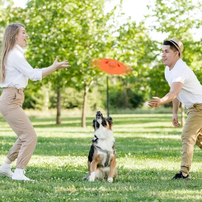 LovuPet Jouets pour Chien, Jouets Interactifs pour Nettoyer Les Dents