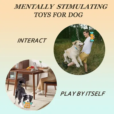 LovuPet Jouet couineur pour chien, jouet puzzle indestructible en peluche