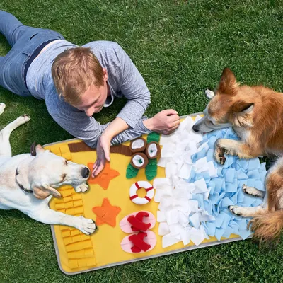 LovuPet Tapis à renifler pour grands chiens, tapis à renifler pour chats