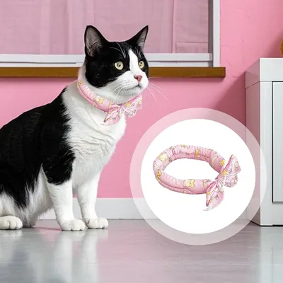 KPYTE Colliers rafraîchissants pour chats et chiens