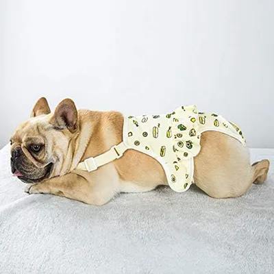 KPYTE Culottes hygiéniques pour chiens