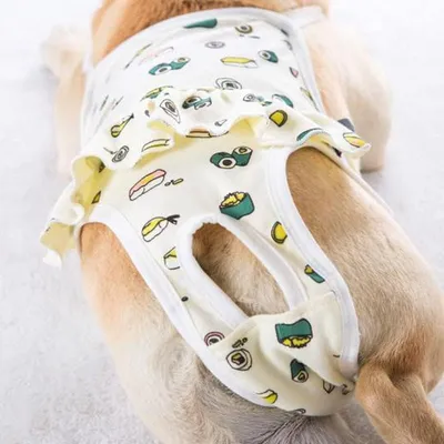 KPYTE Culottes hygiéniques pour chiens