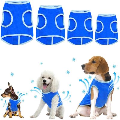 KPYTE Gilet rafraîchissant d'été pour chien