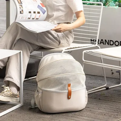 ZENITHMIND Sac de Transport pour Chat avec Fenêtre