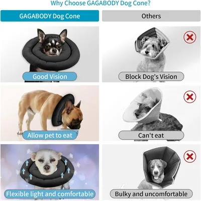 LovuPet Collier élisabéthain pour la convalescence des petits chiens