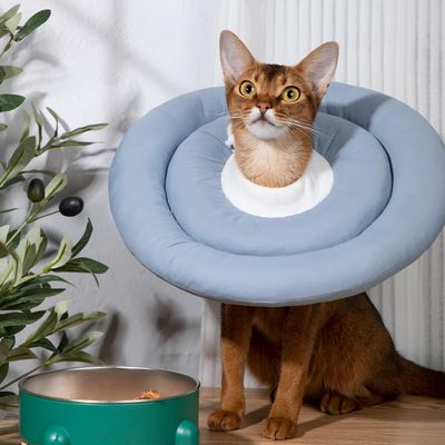 LovuPet Collier élisabéthain pour la convalescence des petits chiens