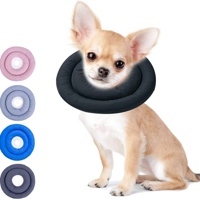 LovuPet Collier élisabéthain pour la convalescence des petits chiens