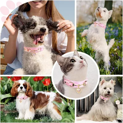 KPYTE Collier pour chat et chien en strass en forme de cœur