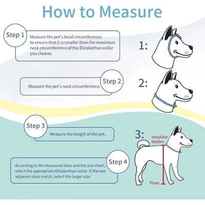 LovuPet Collier élisabéthain pour la convalescence des petits chiens
