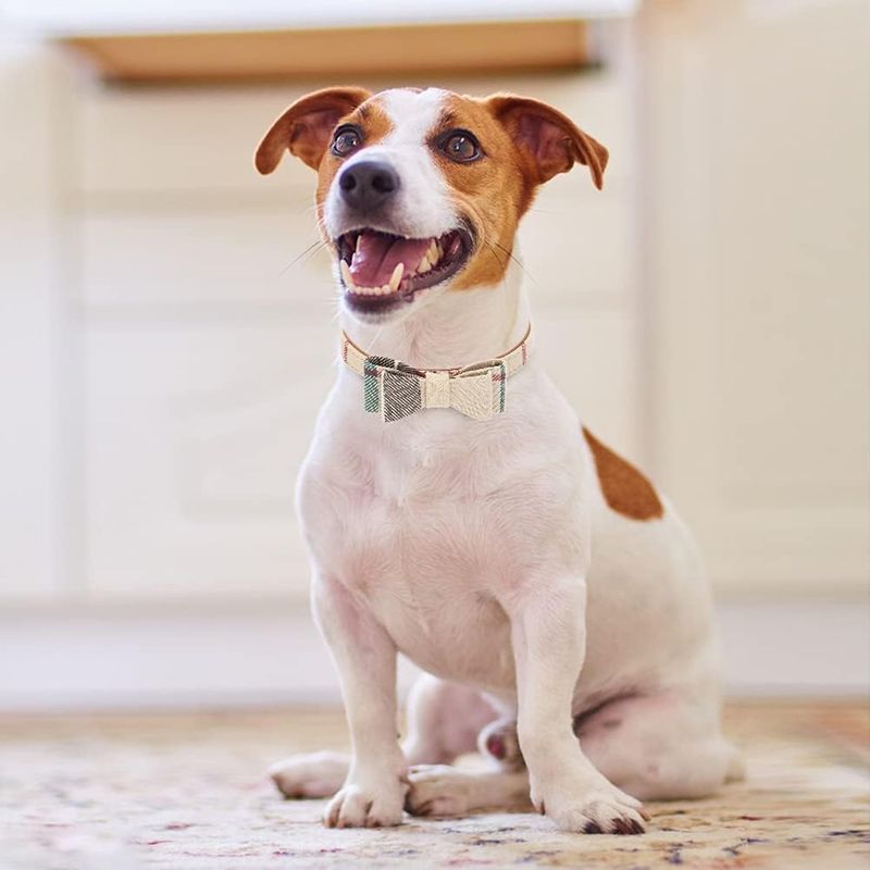 KPYTE Ensemble collier pour chien, bandana triangulaire et laisse