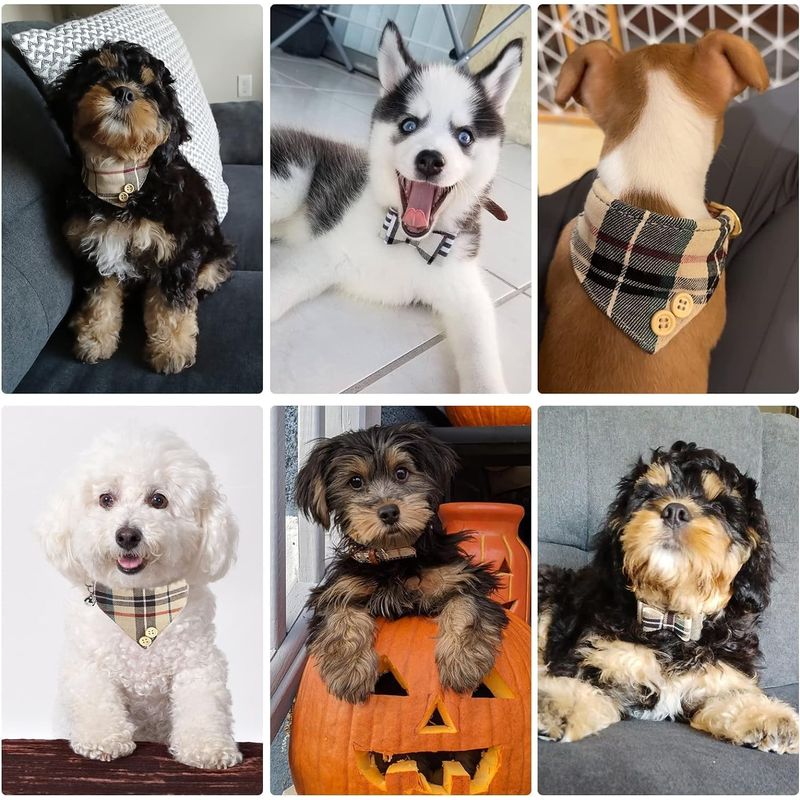KPYTE Ensemble collier pour chien, bandana triangulaire et laisse