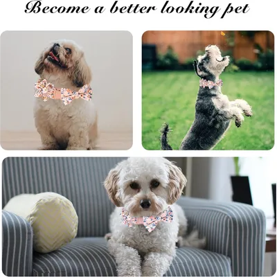 KPYTE Collier nœud papillon pour chien