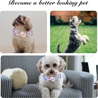 KPYTE Collier nœud papillon pour chien