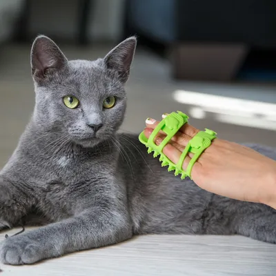 LovuPet Brosses de Toilettage pour Chat,Chatouilleux Brosse pour Animaux