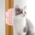 LovuPet Brosses de Toilettage pour Chat,Chatouilleux Brosse pour Animaux