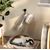 LovuPet Brosse à vapeur 3 en 1 pour chats et chiens