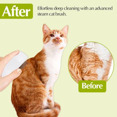 LovuPet Brosse Chat Vapeur Pour la Mue Avec Bouton de Nettoyage Facile