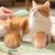 LovuPet Brosse pour chat avec bouton de déverrouillage, outil de massage