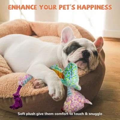 LovuPet Jouets pour chien froissés, peluche couinante