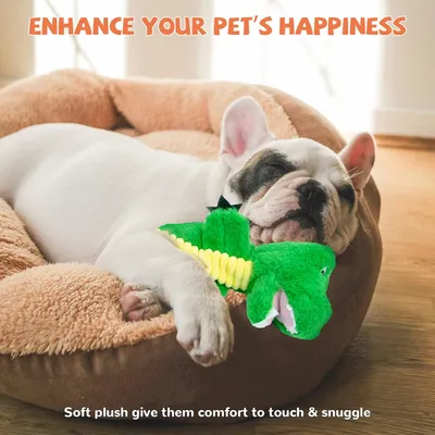 LovuPet Jouets pour chien froissés, peluche couinante