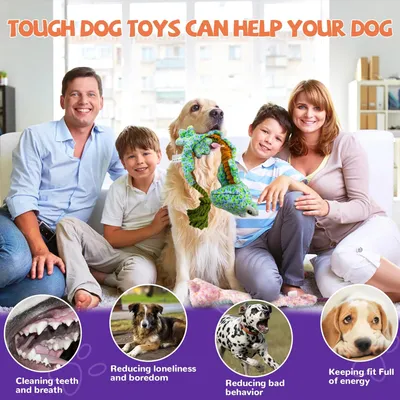 LovuPet Jouets pour chien froissés, peluche couinante