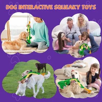 LovuPet Jouets pour chien froissés, peluche couinante