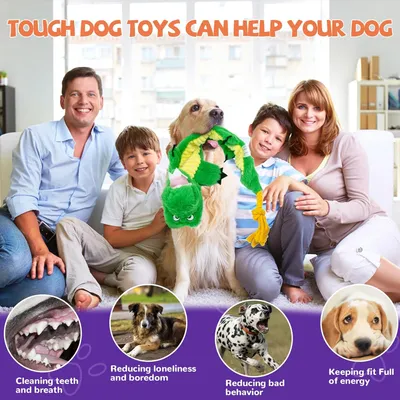 LovuPet Jouets pour chien froissés, peluche couinante