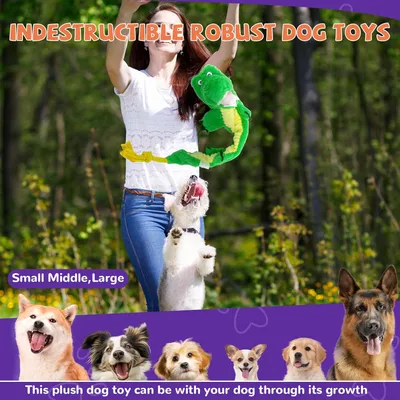 LovuPet Jouets pour chien froissés, peluche couinante