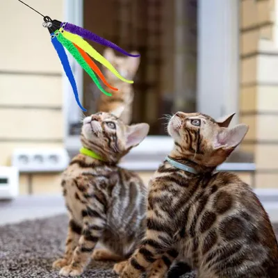 LovuPet 20 piezas de juguetes de plumas para gatos, juguete repuesto gatos