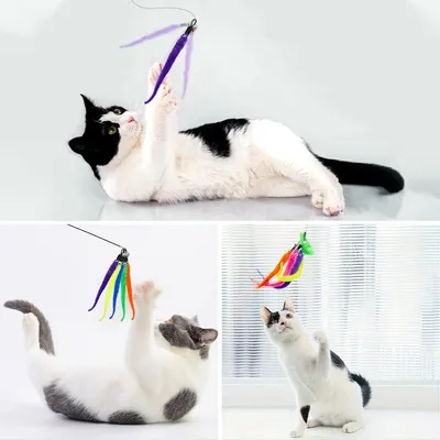 LovuPet 20 pièces Jouet Chat Plume,Jouet pour Chat de Remplacement