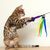 LovuPet 20 pièces Jouet Chat Plume,Jouet pour Chat de Remplacement