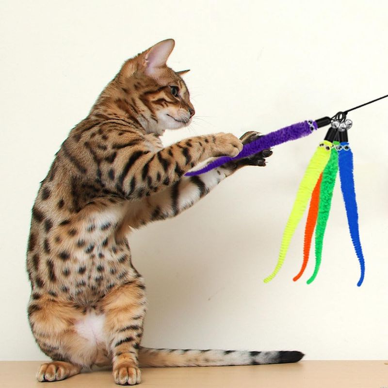 LovuPet 20 pièces Jouet Chat Plume,Jouet pour Chat de Remplacement