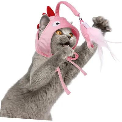 KPYTE Jouet en plumes pour chapeau de chat