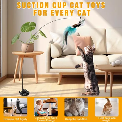 LovuPet 8 Pièces Jouets pour Chats Interactifs d'intérieur