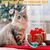 LovuPet 8 Pièces Jouets pour Chats Interactifs d'intérieur