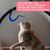 LovuPet 11 Pièces Jouets à Plumes pour Chats, Jouet Interactif pour Chat