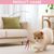 LovuPet 11 Pièces Jouets à Plumes pour Chats, Jouet Interactif pour Chat