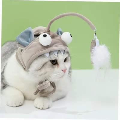 KPYTE Jouet en plumes pour chapeau de chat