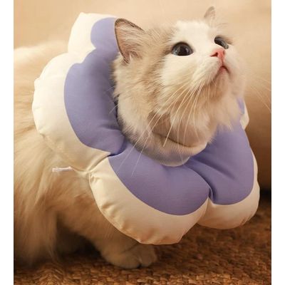 ZENITHMIND - Collier de Protection Elizabeth pour Chats