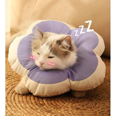 ZENITHMIND - Collier de Protection Elizabeth pour Chats