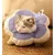 ZENITHMIND - Collier de Protection Elizabeth pour Chats ZENITHMIND - Collier de Protection Elizabeth pour Chats