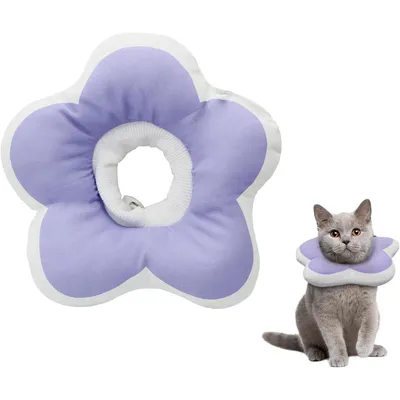 ZENITHMIND - Collier de Protection Elizabeth pour Chats ZENITHMIND - Collier de Protection Elizabeth pour Chats