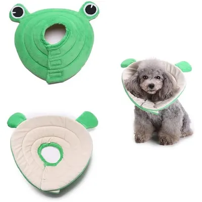 ZENITHMIND Collier Conique pour Chien